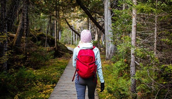 A woman hiking in bushland