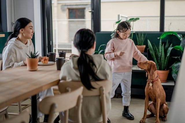 Two women watching a child pat a dog